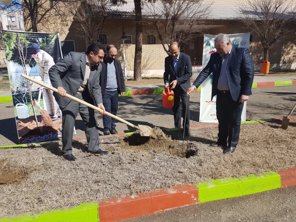 به مناسبت روز درختکاری ۲۰۰ اصله نهال در محوطه ی دانشگاه فرهنگیان واحد امام خمینی(ره) سلماس غرس شد.