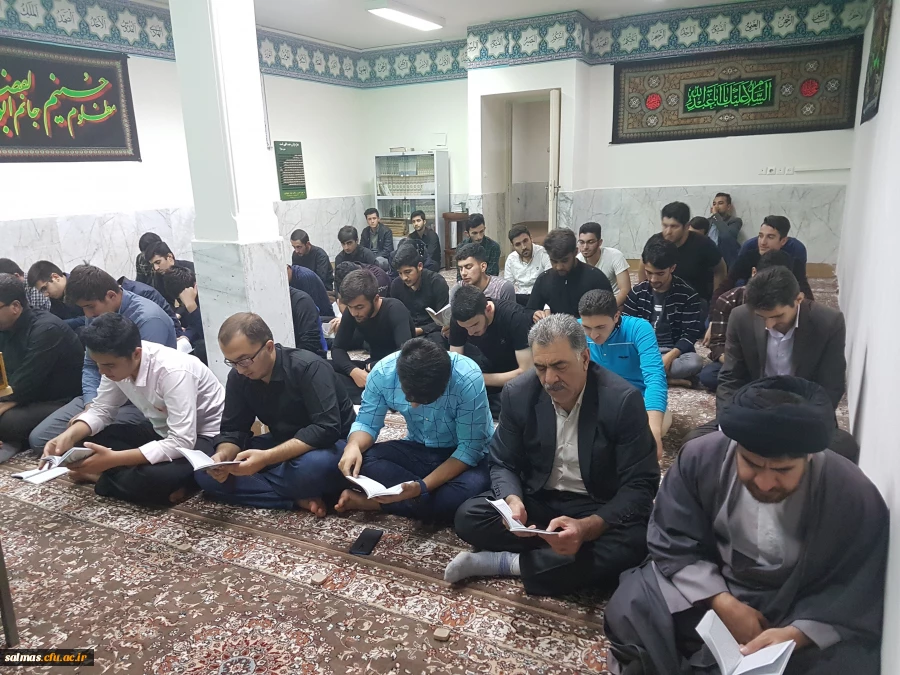 ویژه برنامه تجمع جا ماندگان از اربعین حسینی 
