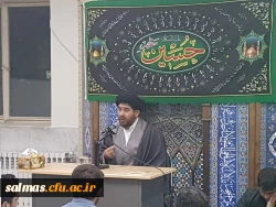 ویژه برنامه تجمع جا ماندگان از اربعین حسینی 