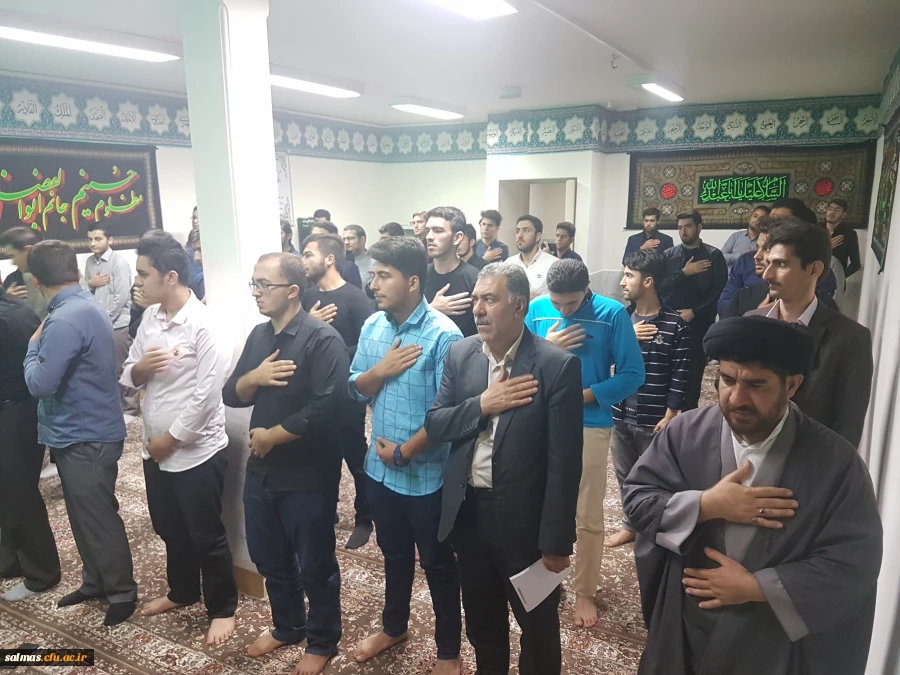ویژه برنامه تجمع جا ماندگان از اربعین حسینی 