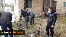 به مناسبت روز درختکاری 120 اصله نهال در محوطه ی دانشگاه فرهنگیان واحد امام خمینی(ره) سلماس غرس شد.