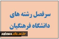 برنامه های اصلاح شده کارشناسی پیوسته